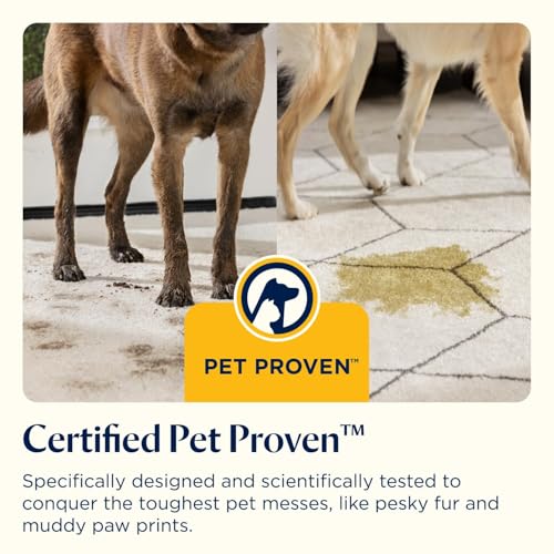 bissell spotclean pet, carpet cleaner, portable spot cleaner, spills & carpet stain remover bissell spotclean pet, carpet cleaner, portable spot cleaner, spills & carpet stain remover